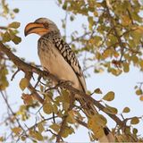 Das User-Foto des Tages - Juli 2007 - Bild 5