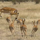 Das User-Foto des Tages - Juli 2007 - Bild 6