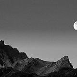 Das User-Foto des Tages - Juli 2007 - Bild 11