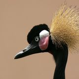 Das User-Foto des Tages - Juli 2007 - Bild 14