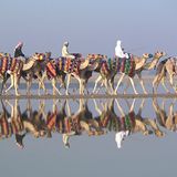 Das User-Foto des Tages - Juli 2007 - Bild 16