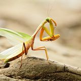 Das User-Foto des Tages - Juli 2007 - Bild 20