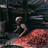 Bangladesch: Vom Reichtum im Abfall - Bild 2