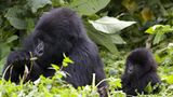Fotogalerie: Tierkinder - Bild 7