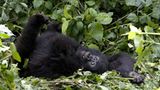 Fotogalerie: Tierkinder - Bild 8