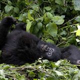 Fotogalerie: Tierkinder - Bild 8