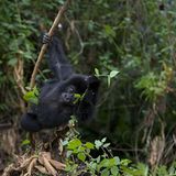 Fotogalerie: Tierkinder - Bild 9