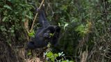 Fotogalerie: Tierkinder - Bild 9