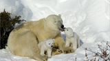 Fotogalerie: Tierkinder - Bild 17