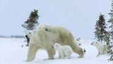 Fotogalerie: Tierkinder - Bild 18