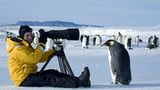 Fotogalerie: Tierkinder - Bild 19