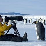 Fotogalerie: Tierkinder - Bild 19