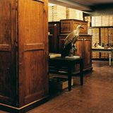 Naturkundemuseum: Altes in neuem Licht