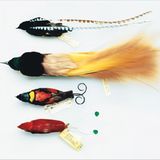 Naturkundemuseum: Altes in neuem Licht - Bild 2