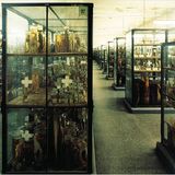 Naturkundemuseum: Altes in neuem Licht - Bild 3