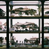 Naturkundemuseum: Altes in neuem Licht - Bild 7