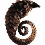 Naturkundemuseum: Altes in neuem Licht - Bild 8