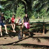 Fotoshow: Der Himmel über Fidschi - Bild 4