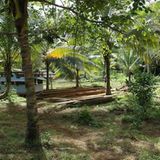 Fotoshow: Der Himmel über Fidschi - Bild 7