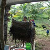 Fotoshow: Der Himmel über Fidschi - Bild 8