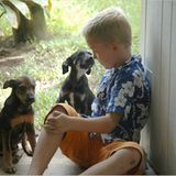 Fotoshow: Der Himmel über Fidschi - Bild 14