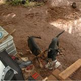 Fotoshow: Der Himmel über Fidschi - Bild 15