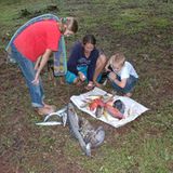 Fotoshow: Der Himmel über Fidschi - Bild 16