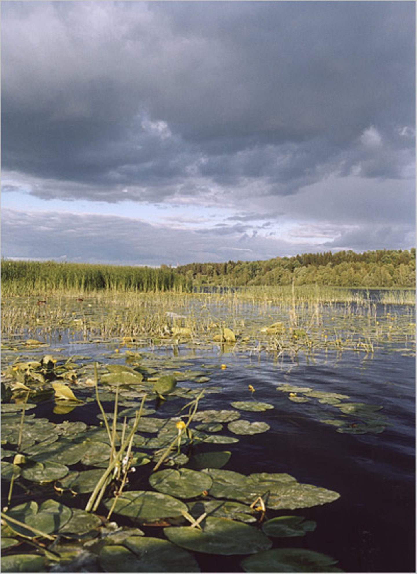 Fotogalerie: Baltische Charme-Offensive - Bild 5