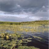 Fotogalerie: Baltische Charme-Offensive - Bild 5