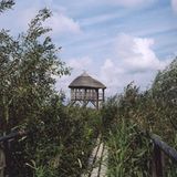 Fotogalerie: Baltische Charme-Offensive - Bild 8