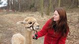 GEO-Reporter unterwegs: Fotogalerie: GEO-Reporter unterwegs - Bild 6