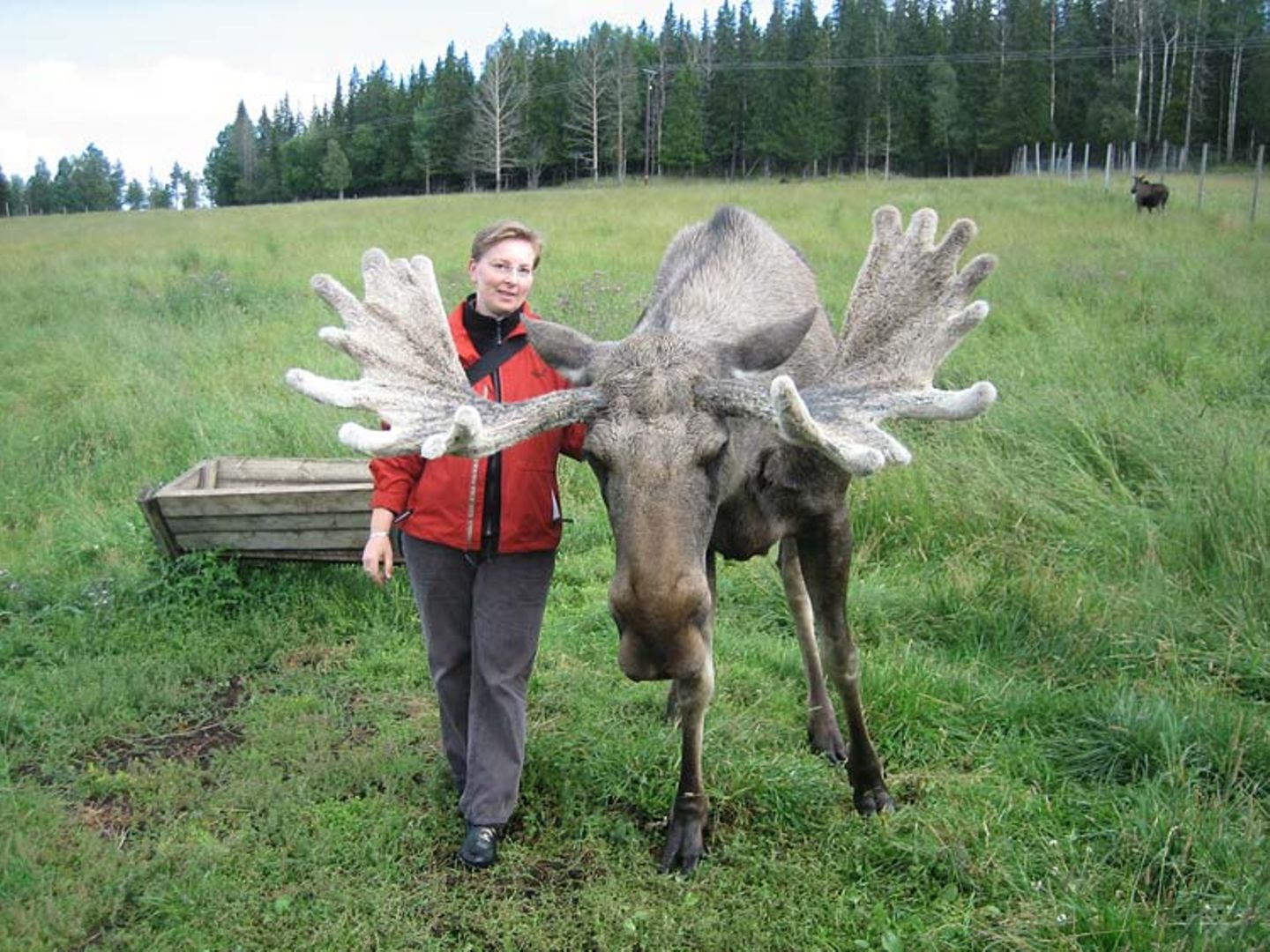 GEO-Reporter unterwegs: Fotogalerie: GEO-Reporter unterwegs - Bild 41
