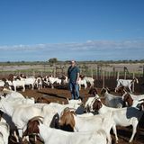 GEO-Reporter unterwegs: Fotogalerie: GEO-Reporter unterwegs - Bild 55