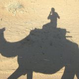 GEO-Reporter unterwegs: Fotogalerie: GEO-Reporter unterwegs - Bild 72