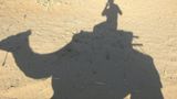 GEO-Reporter unterwegs: Fotogalerie: GEO-Reporter unterwegs - Bild 72