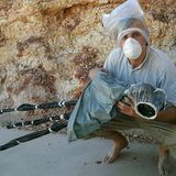 GEO-Reporter unterwegs: Fotogalerie: GEO-Reporter unterwegs - Bild 93