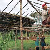 Kolumbien: Der Tod des Mao-bé - Bild 5