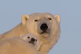 Fotoshow: Tierkinder - Bild 16