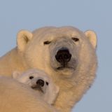 Fotoshow: Tierkinder - Bild 16