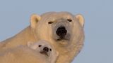 Fotoshow: Tierkinder - Bild 16
