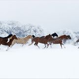 Das User-Foto des Tages - August 2007 - Bild 4