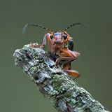 Das User-Foto des Tages - August 2007 - Bild 6