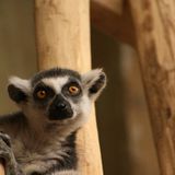 Das User-Foto des Tages - August 2007 - Bild 8