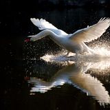 Das User-Foto des Tages - August 2007 - Bild 9