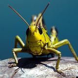 Das User-Foto des Tages - August 2007 - Bild 11