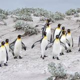 Das User-Foto des Tages - August 2007 - Bild 13