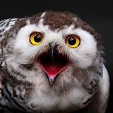 Das User-Foto des Tages - August 2007 - Bild 15