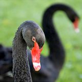 Das User-Foto des Tages - August 2007 - Bild 16