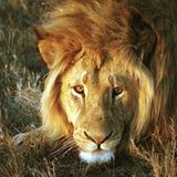 Das User-Foto des Tages - August 2007 - Bild 18