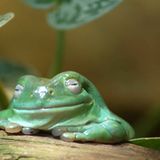 Das User-Foto des Tages - August 2007 - Bild 19